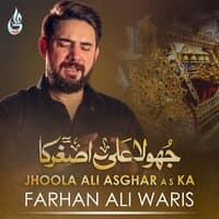 Jhoola Ali Asghar A S Ka - Single