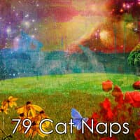 79 Cat Naps