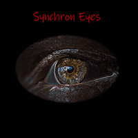 Synchron Eyes