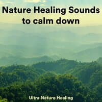 Nature Healing Sounds to Calm Down