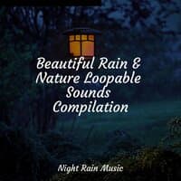 Beautiful Rain & Nature Loopable Sounds Compilation