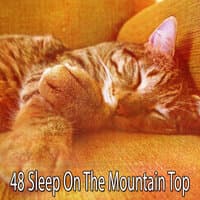 48 Sleep on the Mountain Top