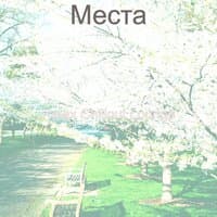 Места