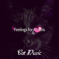 Feelings for Kittens