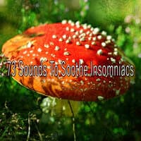 73 Sounds to Soothe Insomniacs