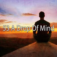 53 A Drop of Mind