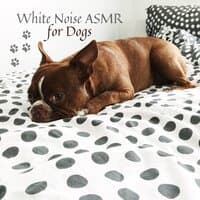 White Noise ASMR for Dogs