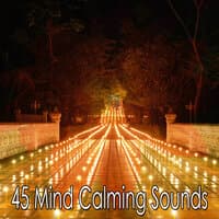 45 Mind Calming Sounds