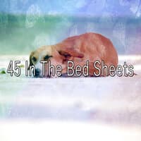 45 In The Bed Sheets