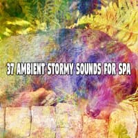 37 Ambient Stormy Sounds for Spa