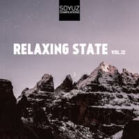 Relaxing State, Vol. 12