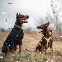 Magnificent Music for Calm Hounds - Piano