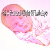 42 A Natural Night of Lullabye