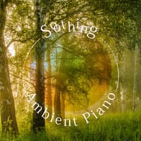 Soothing Ambient Piano