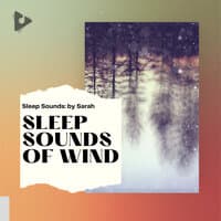 Sleep Sounds of Wind