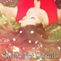 50 Do Not Disturb