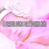 44 Peaceful Sounds for a Soothing Night