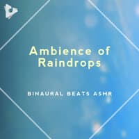 Ambience of Raindrops