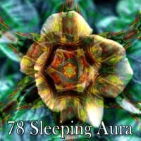 78 Sleeping Aura