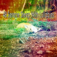 48 Serene Sleep with Lullabies