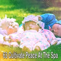 63 Cultivate Peace at the Spa