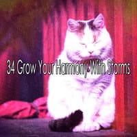 34 Grow Your Harmony with Storms