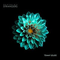 Strangers