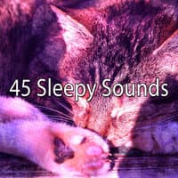 45 Sleepy Sounds