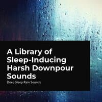 A Library of Sleep-Inducing Harsh Downpour Sounds