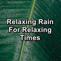 Relaxing Rain For Relaxing Times