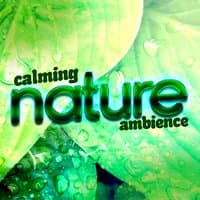 Calming Nature Ambience