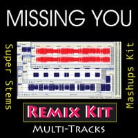 Missing You (Multi Tracks Tribute to The Black Eyed Peas)