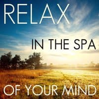 Relax in the Spa of Your Mind: 50 Relaxing Nature Songs for Meditation, Yoga, Spa, Massage, & New Age Healing