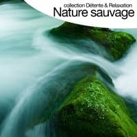 Nature sauvage - Sounds of Nature