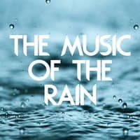 The Music of the Rain