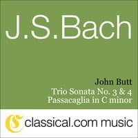 Johann Sebastian Bach, Trio Sonata No. 3 In D Minor, BWV 527