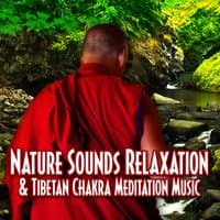 Nature Sounds Relaxation & Tibetan Chakra Meditation Music