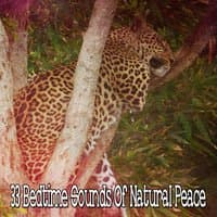 33 Bedtime Sounds Of Natural Peace