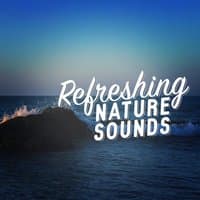 Refreshing Nature Sounds