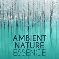 Ambient Nature Essence