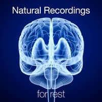 Natural Recordings for Rest