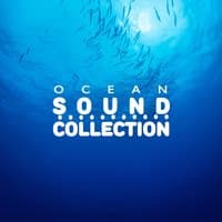 Ocean Sound Collection