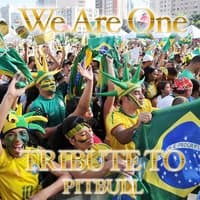 We Are One: Tribute to Pitbull