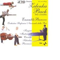 Zelenka Bach trio sonatas