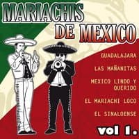 Mariachis De Mexico Vol.1