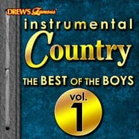 Instrumental Country: The Best of the Boys, Vol. 1