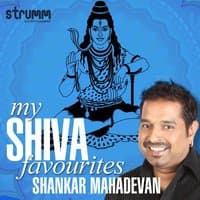 My Shiva Favourites