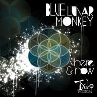 Blue Lunar Monkey