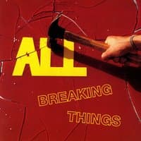 Breaking Things