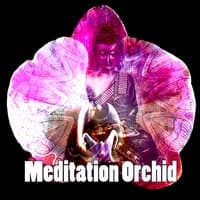 Meditation Orchid